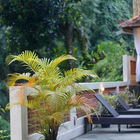 Hanaka Riverside Ubud Buitenkant foto