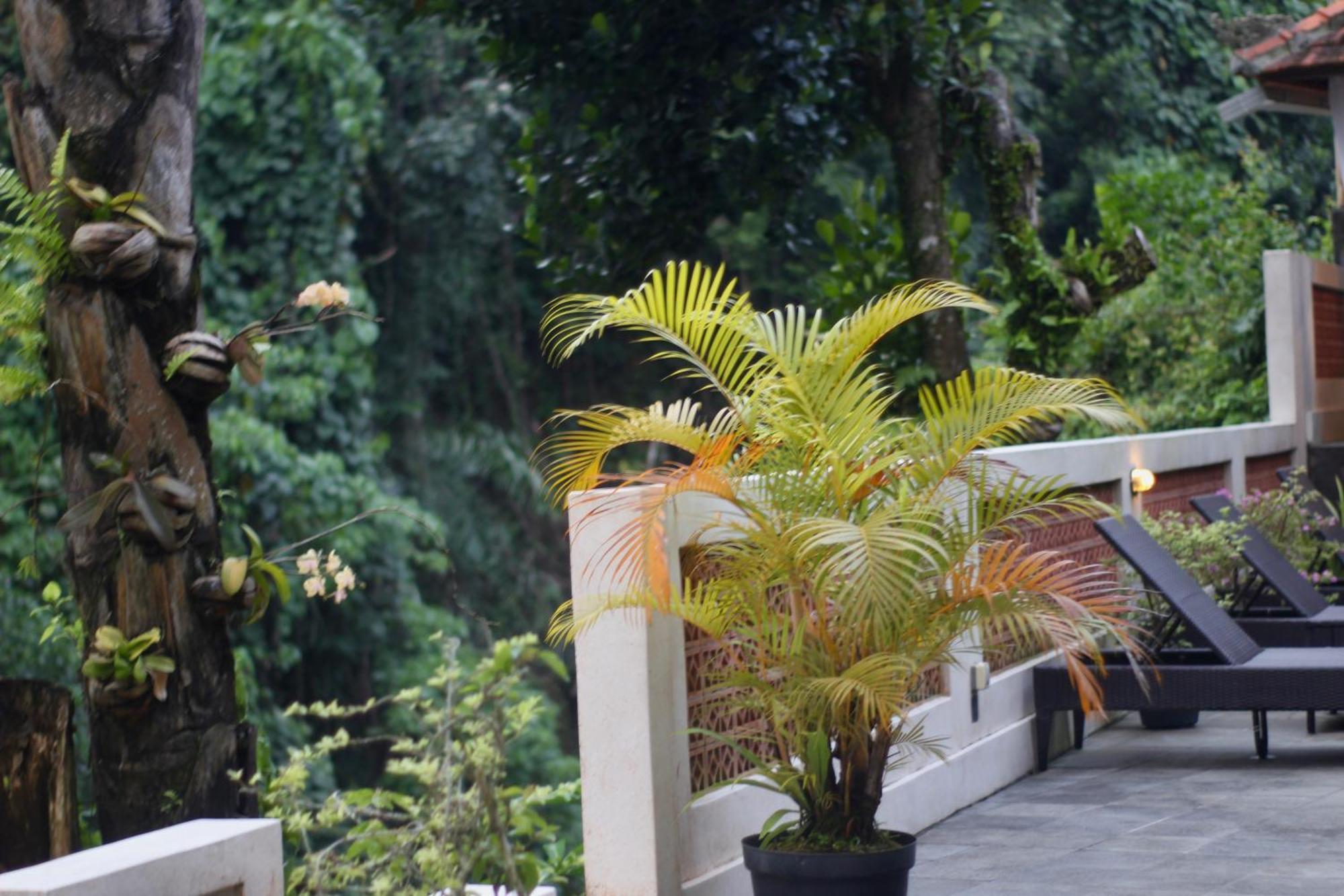 Hanaka Riverside Ubud Buitenkant foto