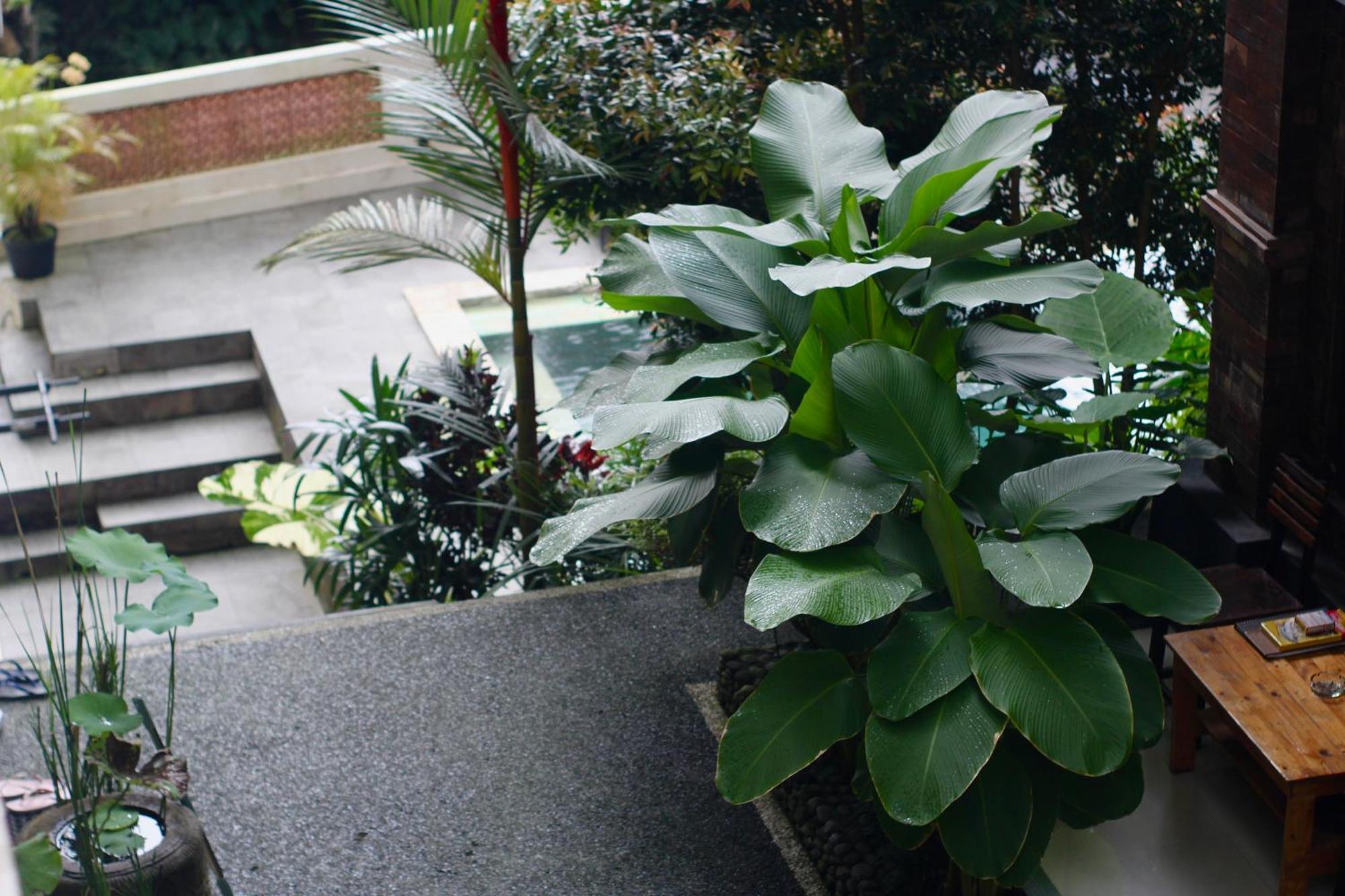 Hanaka Riverside Ubud Buitenkant foto