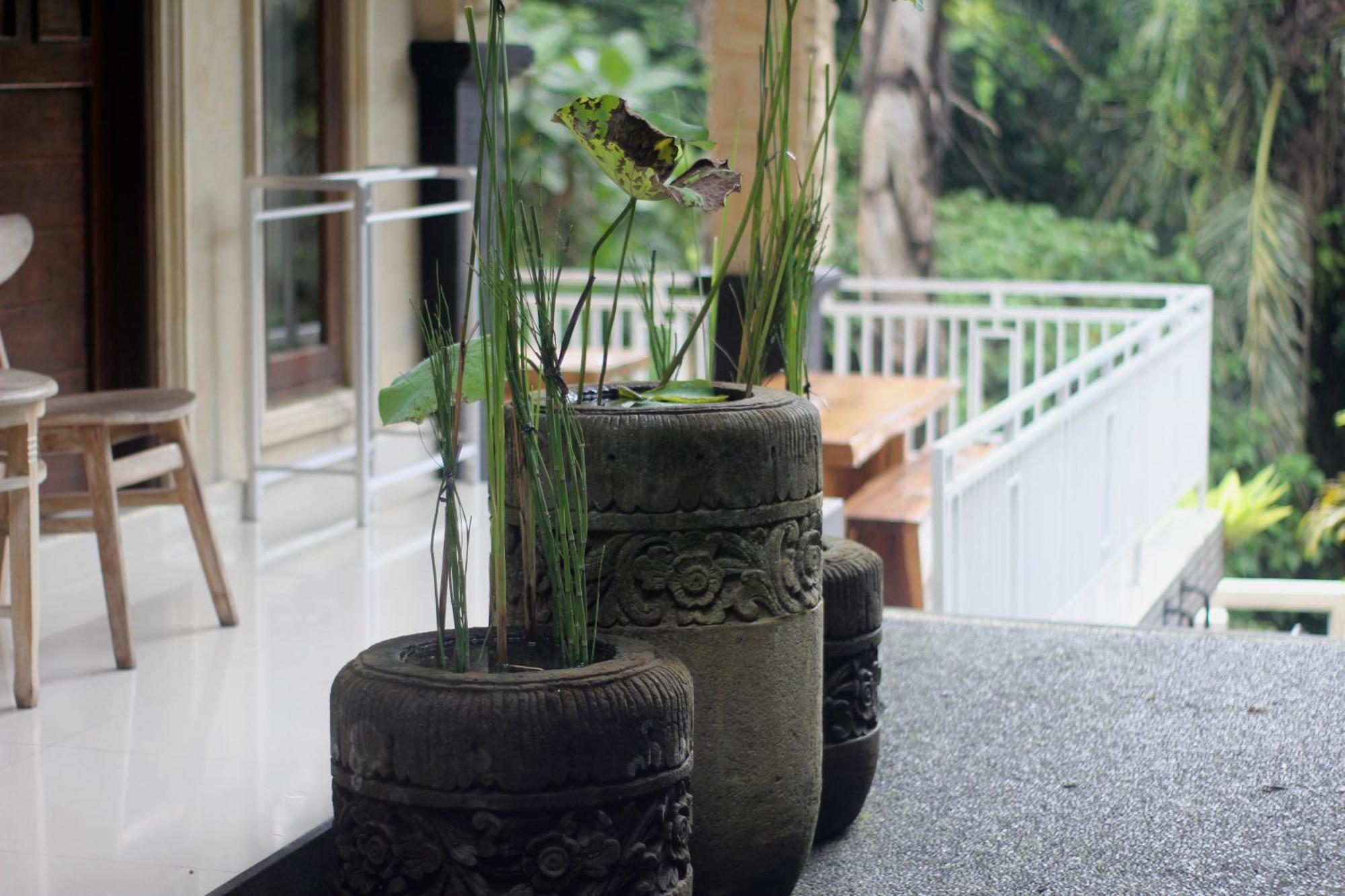 Hanaka Riverside Ubud Buitenkant foto