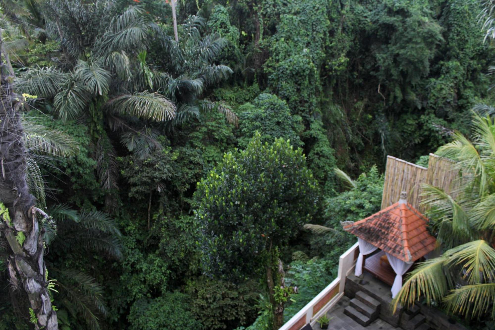 Hanaka Riverside Ubud Buitenkant foto