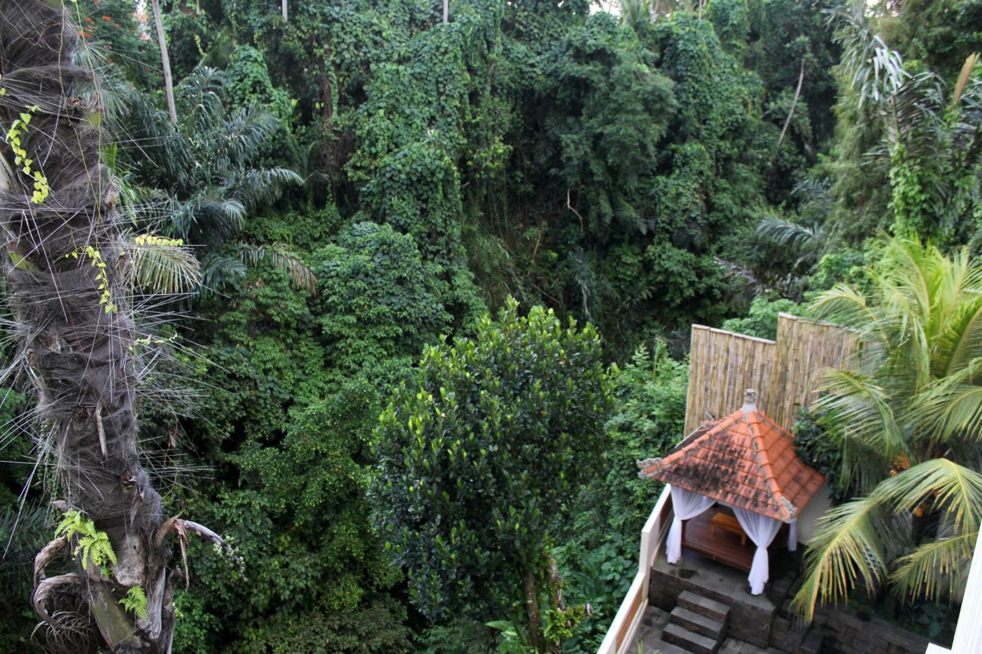 Hanaka Riverside Ubud Buitenkant foto